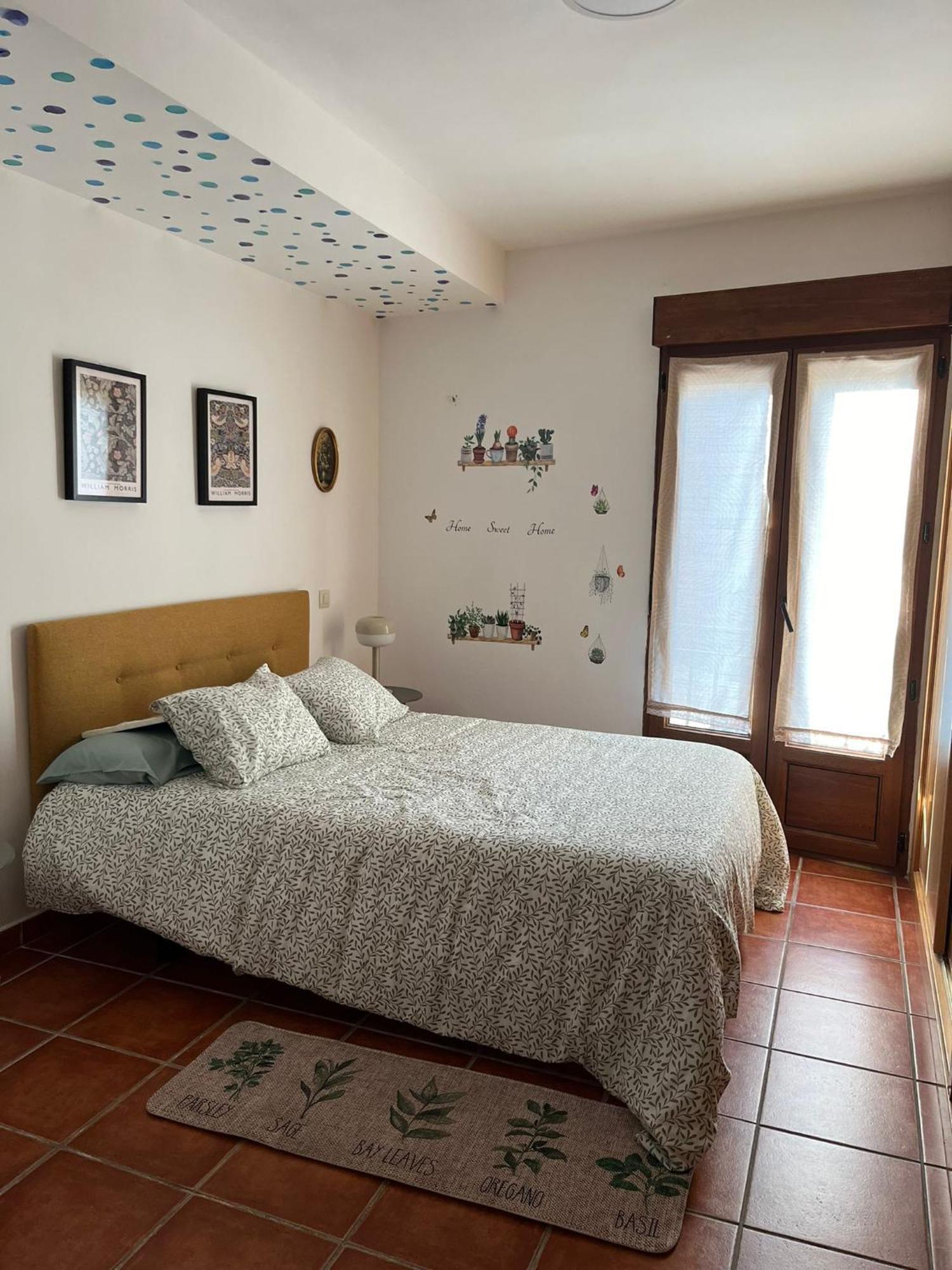 La Casa De Paloma En La Plaza Encanto Historico 里亚萨 外观 照片